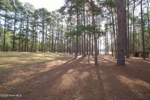 Exterior - 40 Greyabbey Dr, Pinehurst, NC 28374 photo 9 of 11