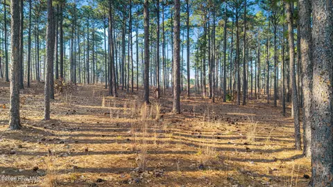 434 N Fort Bragg Rd, Southern Pines, NC 28387