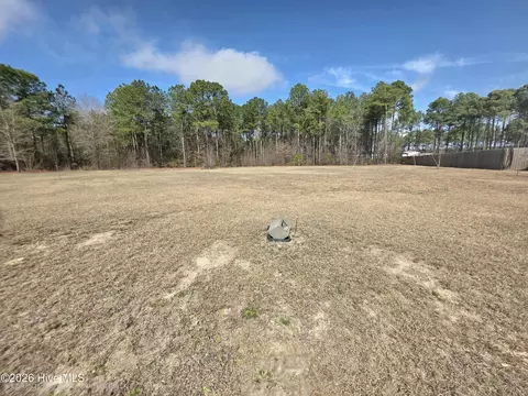 290 Raynor Sands Dr, Dunn, NC 28334