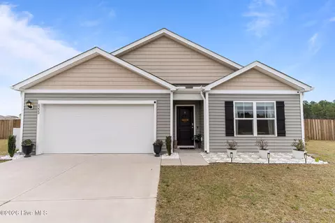 6220 Centipede Pl, Castle Hayne, NC 28429