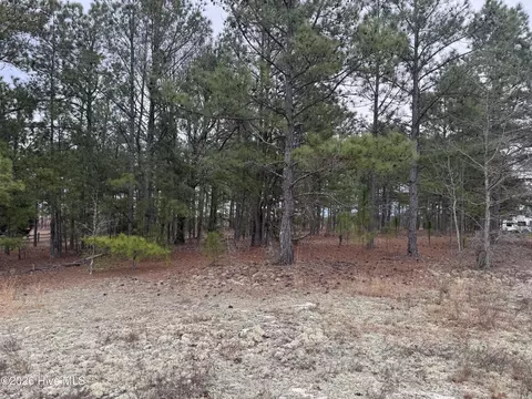 138 Batton Rd, Hamlet, NC 28345 photo 2
