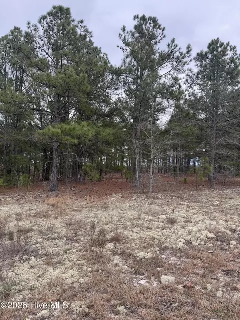 138 Batton Rd, Hamlet, NC 28345