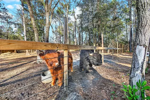 158 Willow St, Hubert, NC 28539 photo 36