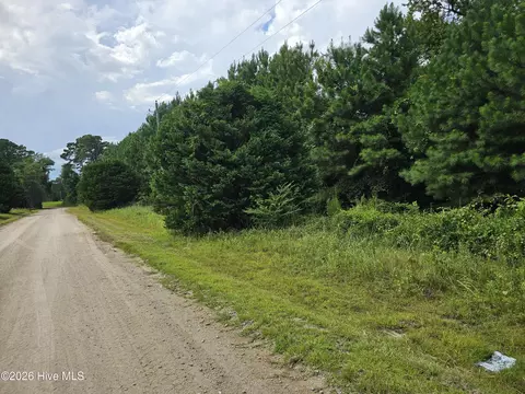 8 Powell Ln, Loris, SC 29569 photo 3