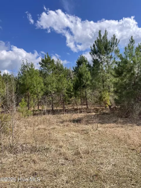0 Split Dr SE, Bolivia, NC 28422