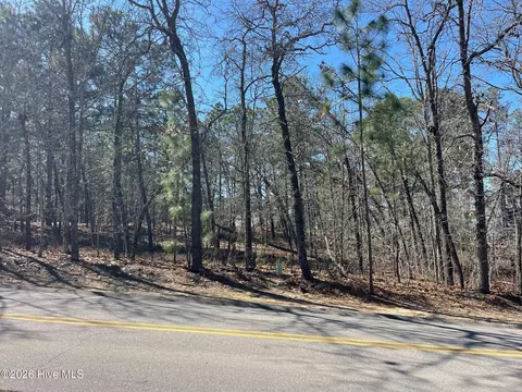 445 Longleaf Dr, West End, NC 27376 photo 2
