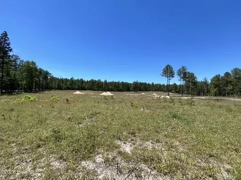 349 Lally Cir, Aberdeen, NC 28315