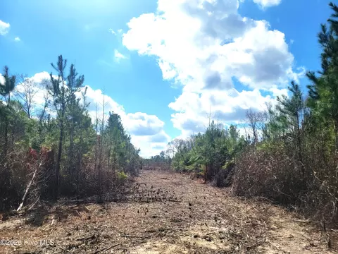 8234 Elevation Rd, Benson, NC 27504 photo 5