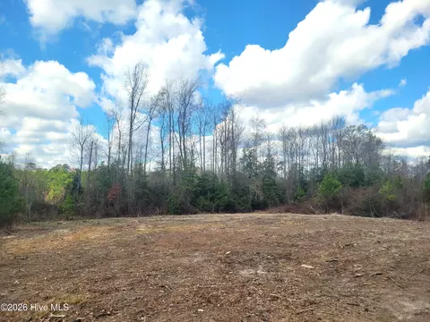 8234 Elevation Rd, Benson, NC 27504 photo 4