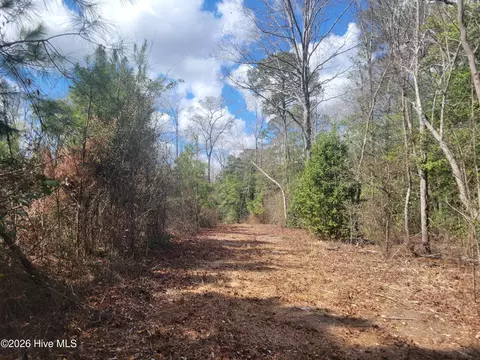 8234 Elevation Rd, Benson, NC 27504 photo 7