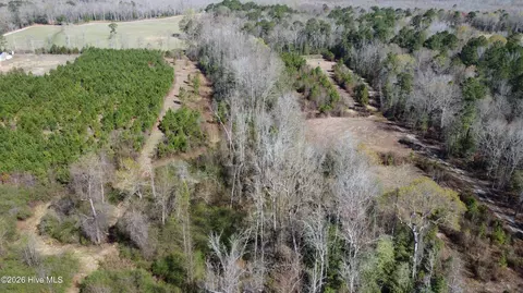 8234 Elevation Rd, Benson, NC 27504 photo 14