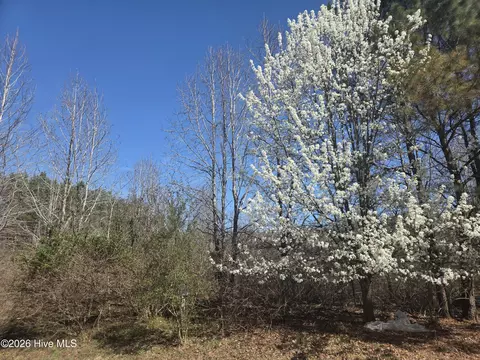 232 Winfall Cir, Edenton, NC 27932 photo 2