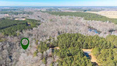 312 Plumtree Cir, Edenton, NC 27932 photo 2