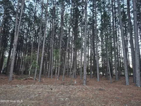 3 Milla Ct, Jackson Springs, NC 27281