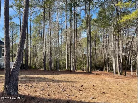 526 Lindgrove Pl SW, Ocean Isle Beach, NC 28469