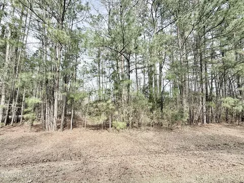 00 Doris Dr, Oriental, NC 28571 photo 6