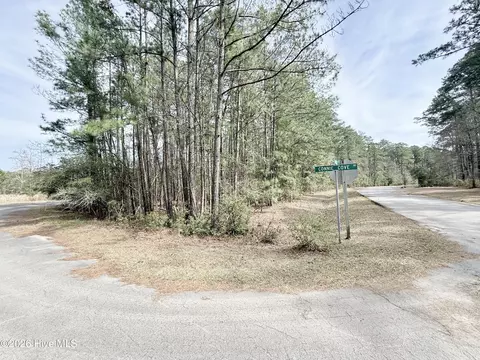 00 Doris Dr, Oriental, NC 28571 photo 4