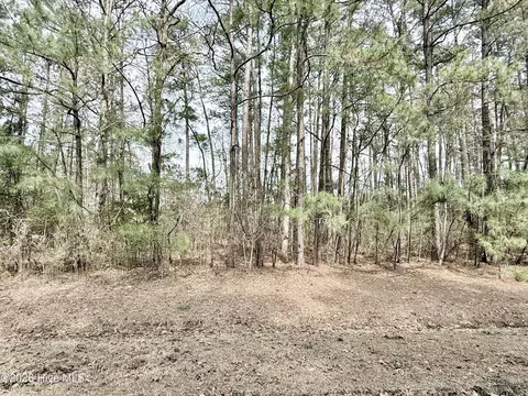 00 Doris Dr, Oriental, NC 28571 photo 7