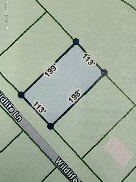 10 Wildlife Ln, Wagram, NC 28396