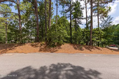 139 Harrell Rd, West End, NC 27376 photo 8