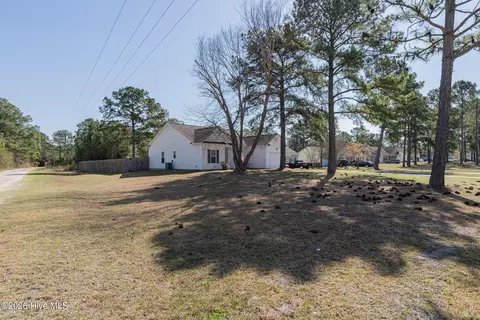 Other - 101 Boysenberry Fields Rd, Maple Hill, NC 28454 photo 3 of 18