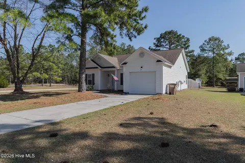 Other - 101 Boysenberry Fields Rd, Maple Hill, NC 28454 photo 2 of 18