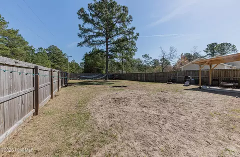 Other - 101 Boysenberry Fields Rd, Maple Hill, NC 28454 photo 16 of 18