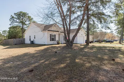 Exterior - 101 Boysenberry Fields Rd, Maple Hill, NC 28454 photo 3 of 7