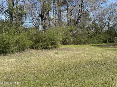 0 Willard Railroad St, Willard, NC 28478