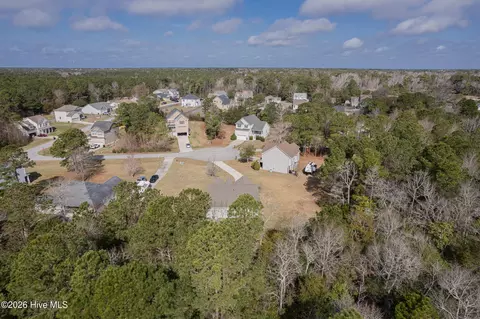 View/Area - 604 Mayapple Ln, Hubert, NC 28539 photo 5 of 7