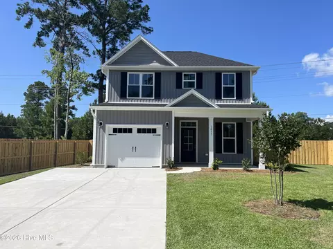 1037 Pine Ridge Ct, Castle Hayne, NC 28429