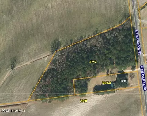 0 Louie Pollock Rd, La Grange, NC 28551