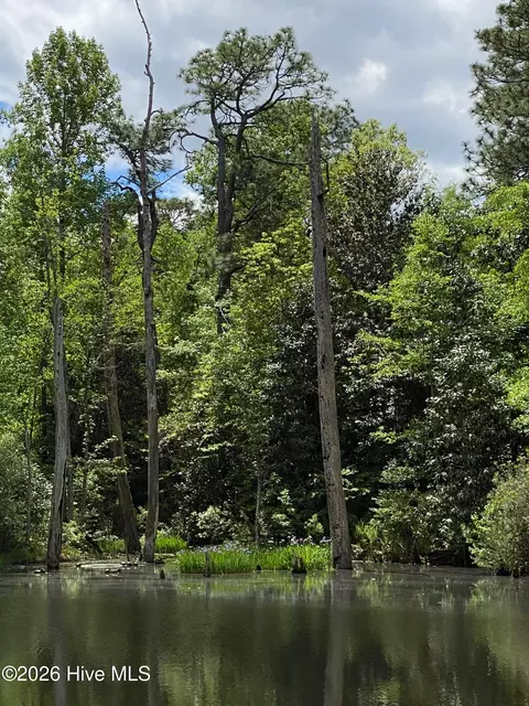 Other - 4 Augusta Way, Pinehurst, NC 28374 photo 8 of 15