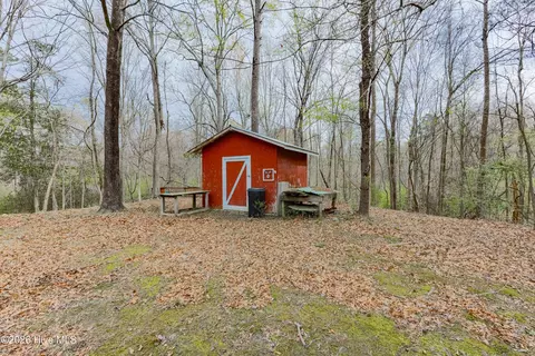 381 Washington Creek Dr, Willard, NC 28478 photo 22