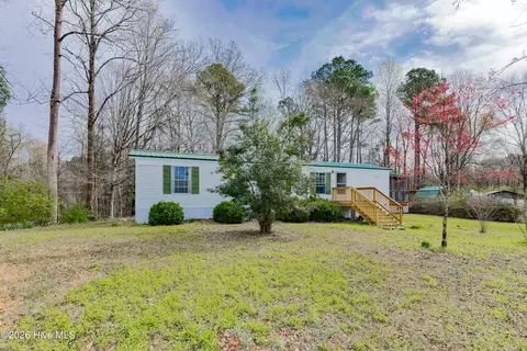381 Washington Creek Dr, Willard, NC 28478 photo 5