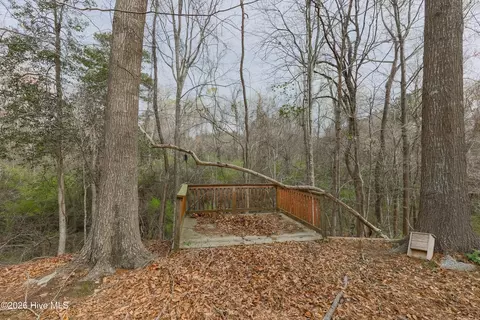 381 Washington Creek Dr, Willard, NC 28478 photo 23