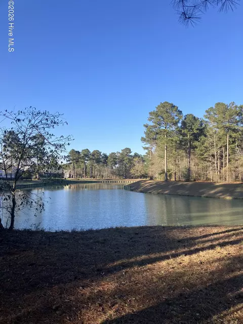 146 Muscadine Trl, Wallace, NC 28466