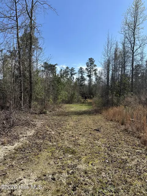 tbd Old Wire Rd, Laurel Hill, NC 28351 photo 4