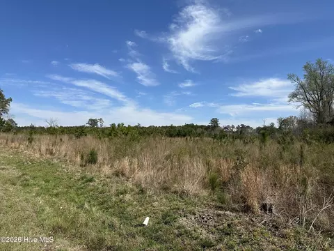 tbd Old Wire Rd, Laurel Hill, NC 28351 photo 3
