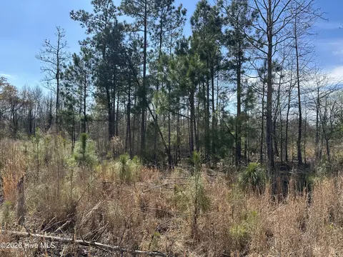 tbd Old Wire Rd, Laurel Hill, NC 28351 photo 7