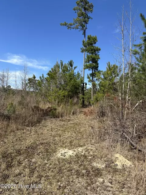 tbd Old Wire Rd, Laurel Hill, NC 28351 photo 5