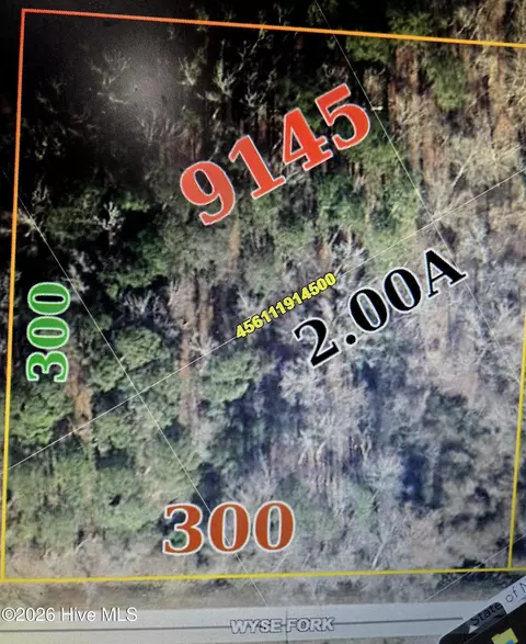 3854 Wyse Fork Rd, Dover, NC 28526