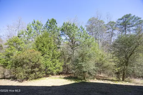 85 Winged Foot Rd, Pinehurst, NC 28374 photo 40