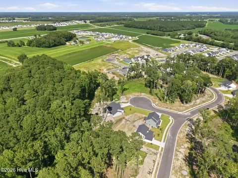 View/Area - 4206 Tinsley Ct, Ayden, NC 28513 photo 7 of 9