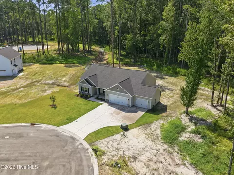 View/Area - 4206 Tinsley Ct, Ayden, NC 28513 photo 2 of 9