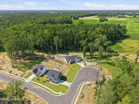 View/Area - 4206 Tinsley Ct, Ayden, NC 28513 photo 4 of 9