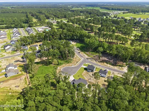 View/Area - 4206 Tinsley Ct, Ayden, NC 28513 photo 6 of 9