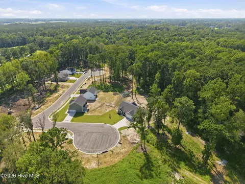 View/Area - 4206 Tinsley Ct, Ayden, NC 28513 photo 5 of 9