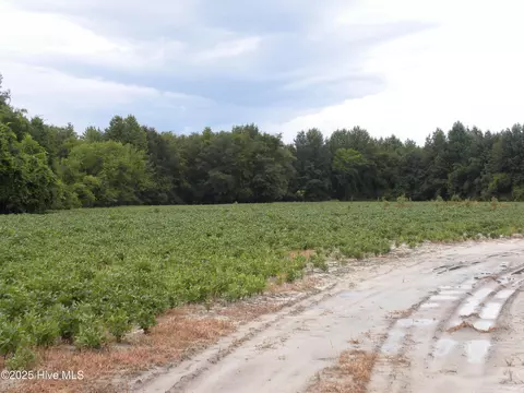 tbd Conetoe Rd, Greenville, NC 27834
