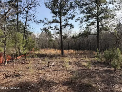 708 Ed Thomas Rd, Cameron, NC 28326 photo 5
